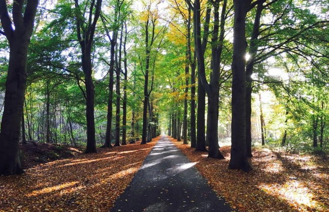 Chalet in the Woods With Pool - Photo 38