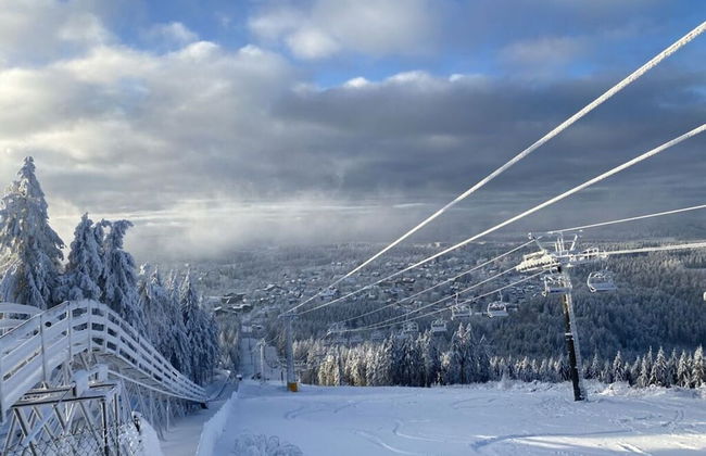 Cecilienpark Oberharz - Photo 38