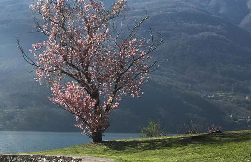 Riflessi di Lago - Foto 24