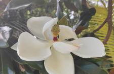 Entire home Private swim pool Quiet area - Foto 4