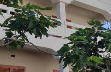 Villa Niko - Foto 19