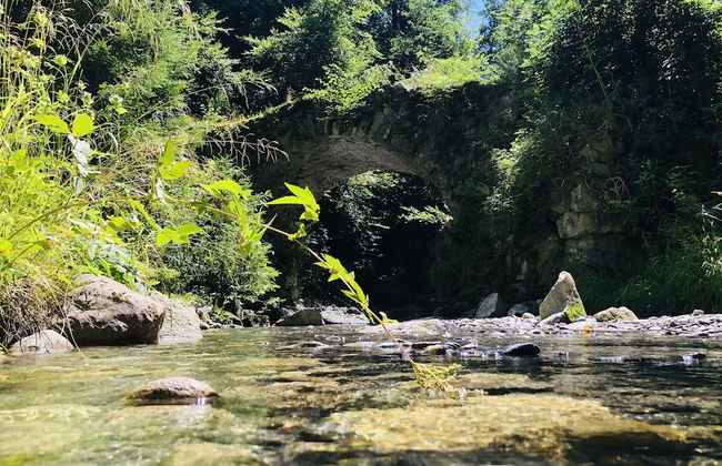 Le Moulin des Olirics - Foto 51