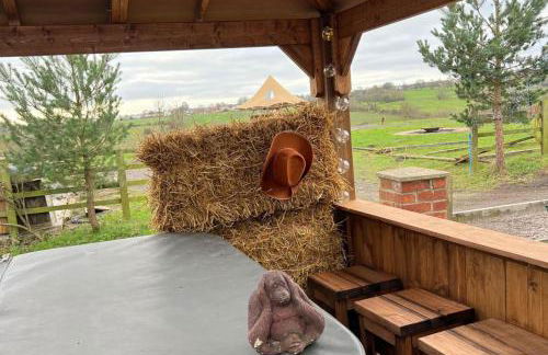 Starshinezzz - Large Farmhouse County Durham - Foto 15