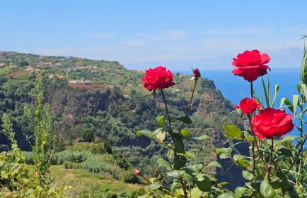 Top Floor in Flor do Campo - Santana - Foto 18