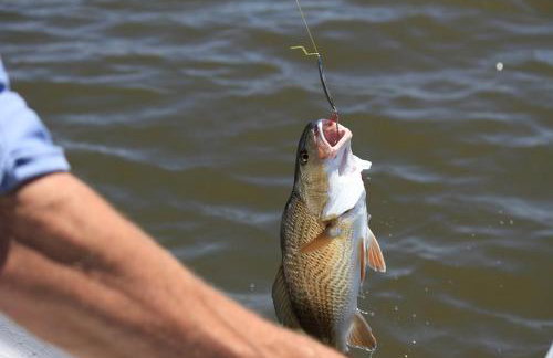 Agroturystyka Lisa Młyn - Foto 68