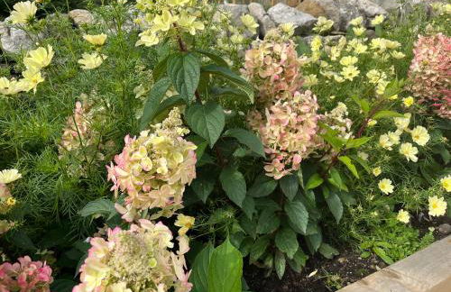 The Dale - Luxurious annexe with stunning view - Foto 21