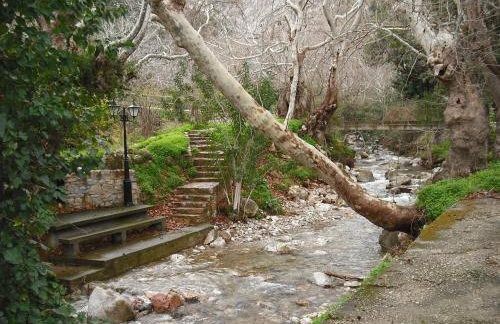 Argo Studios - Foto 54