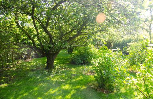 1 Hope Cottage - Foto 18