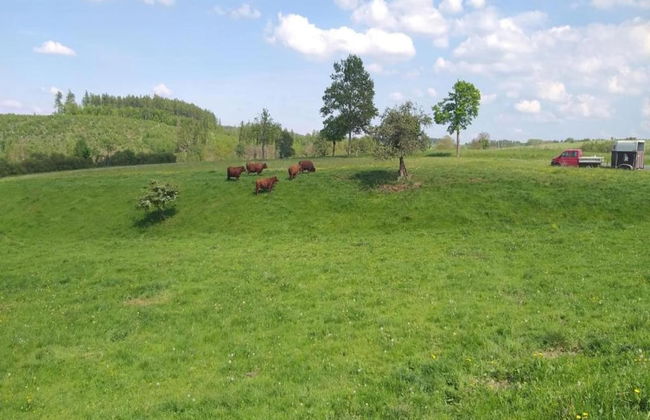 Nice Apartment in Allrode With Private Terrace - Photo 47