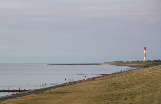 Thias J 3 With Winter Garden - Foto 11