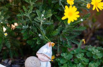 Apartman NONO - Foto 32