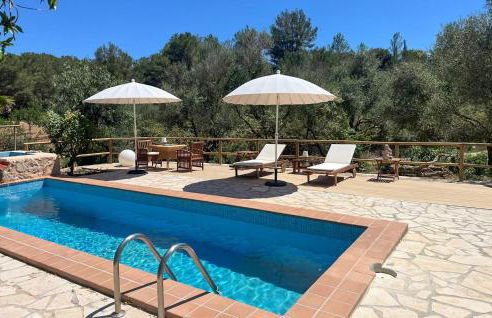 Higo Chumbo - Foto 2