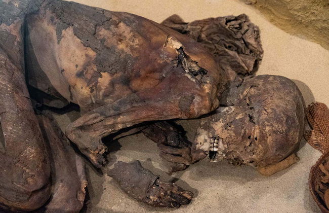 Visite guidée du musée Égyptien - Photo 3