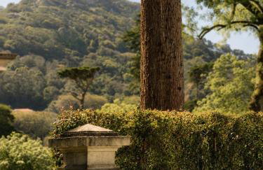 A Capela - A Essência de Sintra - Photo 3