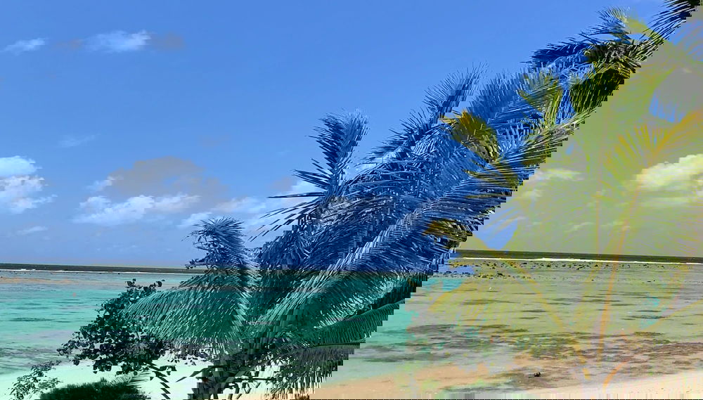 Panama Beachfront Apartments Rarotonga - Foto 1, Imagen principal