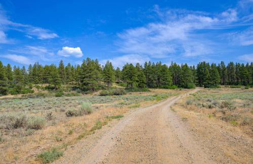 Cabin at the Little Ranch with Hiking On-Site! - Foto 28