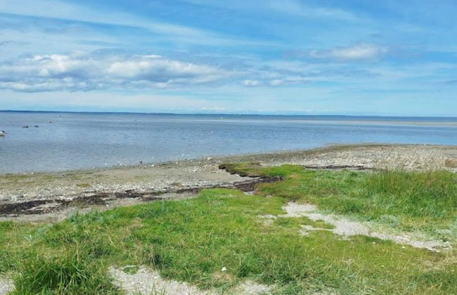 4 Person Holiday Home in Jaegerspris - Foto 28