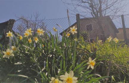 Ca Giacomo - Foto 16