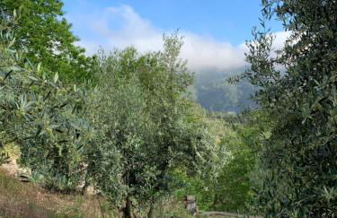 Portugal Mountain Splendour - Xisto village - Foto 8