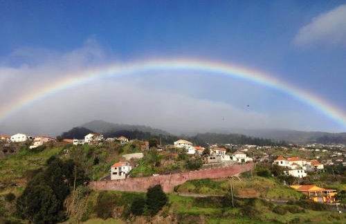 Blooming Botanic Houses - Foto 30