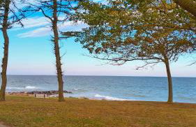 Meereszauber - Wo Urlaub Wellen schlägt & Herzen leuchten - Dein sonniger & ruhiger Ankerplatz, an dem sich Steilküste, Strand & Ostseeblick vereinen - Foto 32