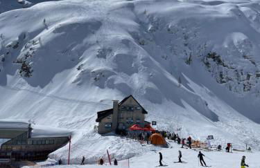 Forest Apartment Zofia - Foto 16