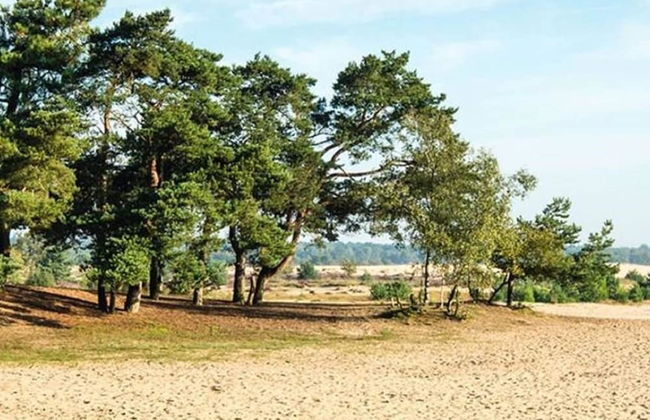 Holiday Home Near the Efteling With Garden - Foto 36