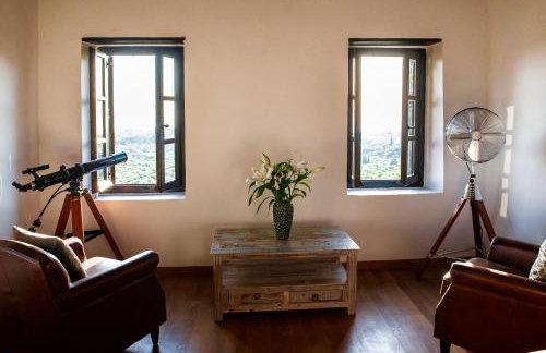 PositiveSpace Olive Tree - Foto 10