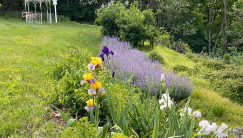 The Bears Den at La Soledad - Foto 2