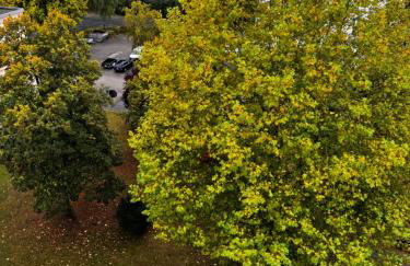 Kaiser-Rooms Stralsunder Ring 18 - Foto 15