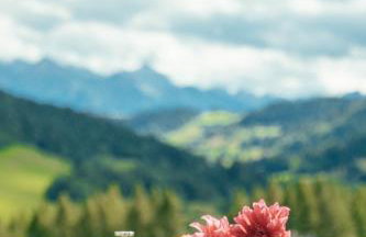 Houten Villa "ReisnaarPolen" Royaal ontbijt tevens Gluten Lactose vrij, Vega en diner mogelijk, sauna en Hottub - Foto 72