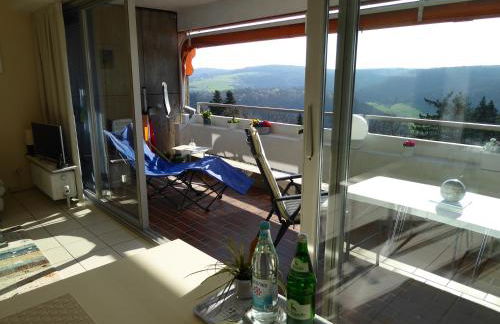 Ferienwohnung Stefi, magischer Ausblick, Schwimmbad-Sauna in Lahnstein - Foto 23