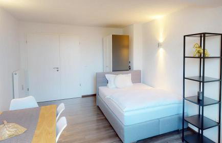 Spacious 4 Bedroom Apartment near City Center - Photo 10