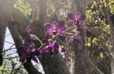 Casa de Praia com Varandao Gourmet a 5 min do Mar - Photo 21