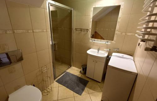 Sudecka Ostoja z Balią i Sauną - Foto 53