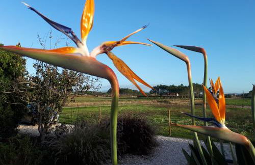 Quinta Samor - Foto 4