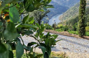 Javardo - Family House - Douro - Foto 31