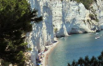 Camping Apartment Vignanotica - Foto 1