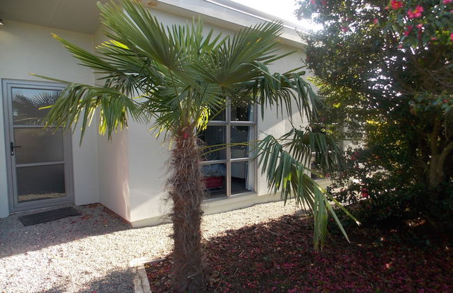 De Vine Martinborough 26 Cologne St - Photo 19