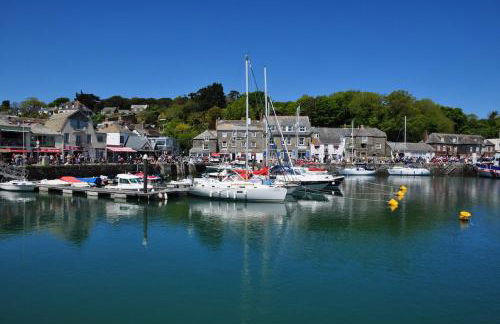 Oystercatcher, Pityme - Foto 17