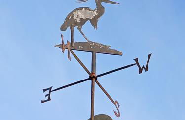 The Herons - Foto 30