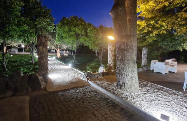 Tenuta Oliva - Foto 58