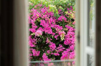 MY Volissos Apartments - Foto 78