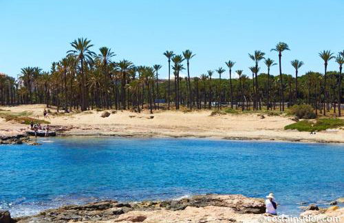 Brisas del Mar Azul - Foto 8