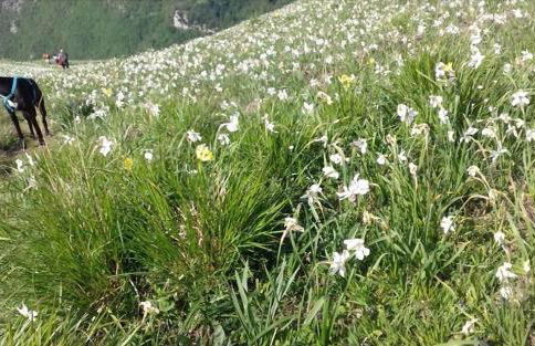 Casa Marta - Foto 12