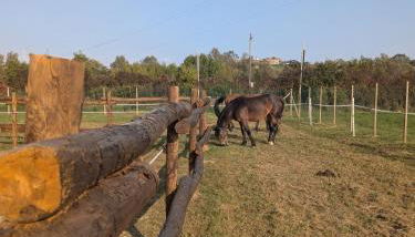 Anticopodere - Foto 4