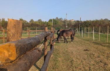 Anticopodere - Foto 4