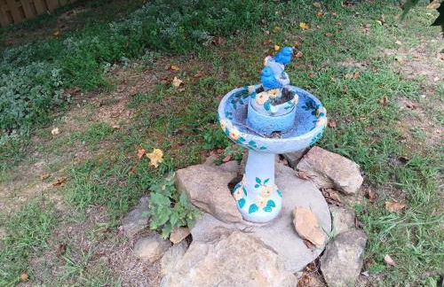 serenity cabins forest view - Photo 15