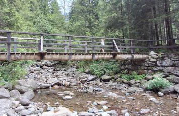 Wuthering Heights - Foto 48