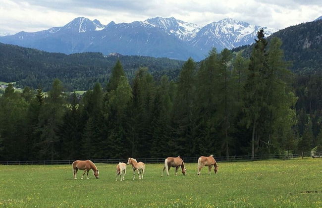 Apartment Silver Moon - Foto 27